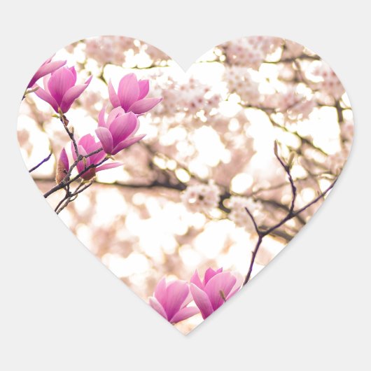 Sticker Cœur Fleur de printemps rose pourpre en floraison (Devant)