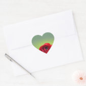 Sticker Cœur Fleur de Ranunculus rouge (Enveloppe)
