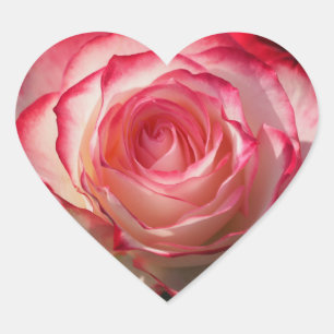 Sticker Cœur Fleur de rose rouge