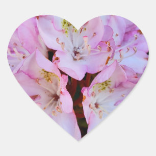 Sticker Cœur Fleur Rhododendron rose