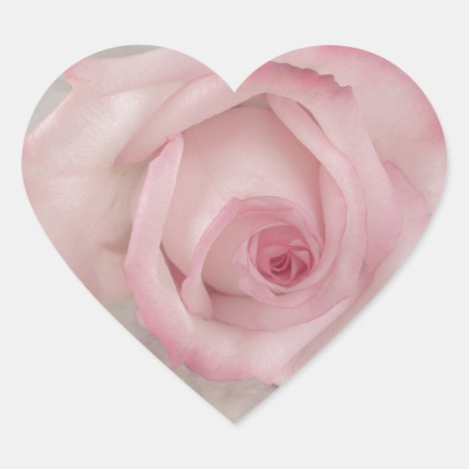 Sticker Cœur Fleur rose douce (Devant)
