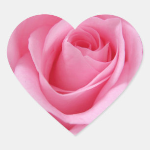 Sticker Cœur Fleur rose rose gros plan