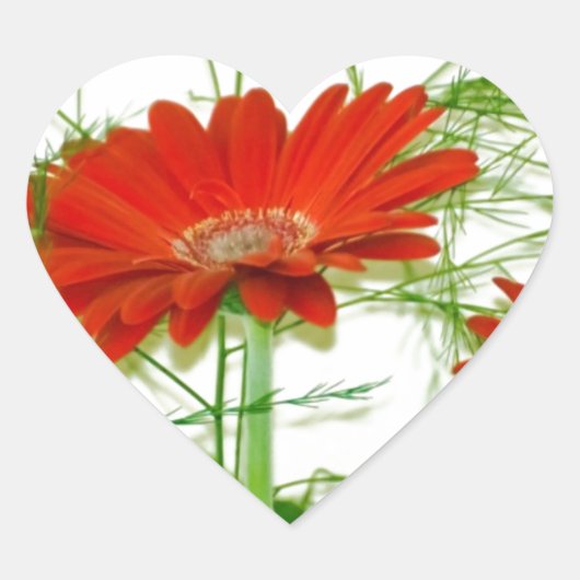Sticker Cœur Fleur Rouge (Devant)
