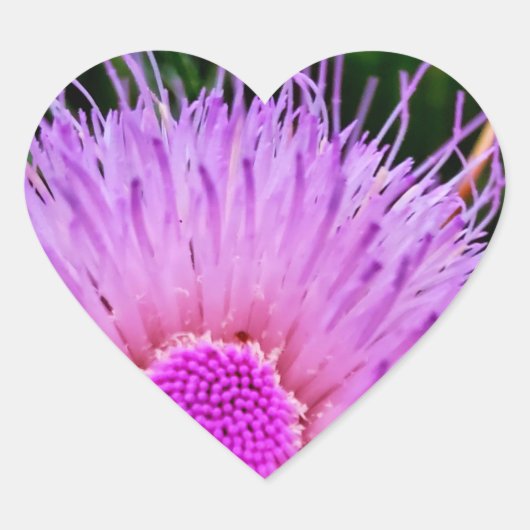 Sticker Cœur Fleur violet et rose (Devant)