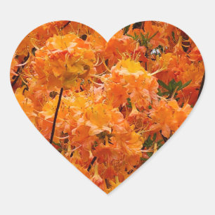 Sticker Cœur Fleurs d'Azalée Flamboyante