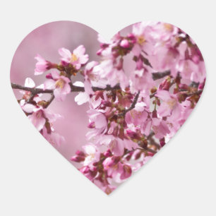Sticker Cœur Fleurs de Cerisier Sakura Pastel Rose Calquees