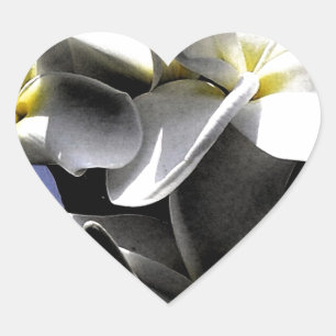 Sticker Cœur Fleurs de la plumeria artistique