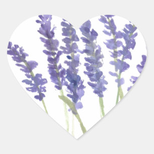 Sticker Cœur Fleurs de lavande aquarelle violet Russe floral