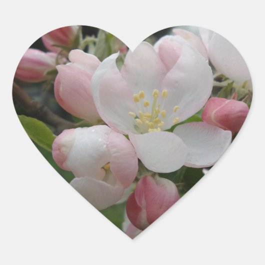 Sticker Coeur Fleurs Roses Blanches (Devant)