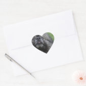 Sticker Cœur Fluffy Keeshond (Enveloppe)