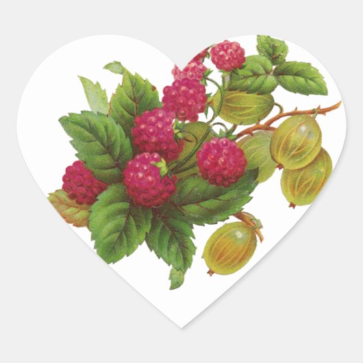 STICKER CŒUR FRUITS ROUGES, RASPBERRY PRESERVE / RASPBERRIES (Devant)
