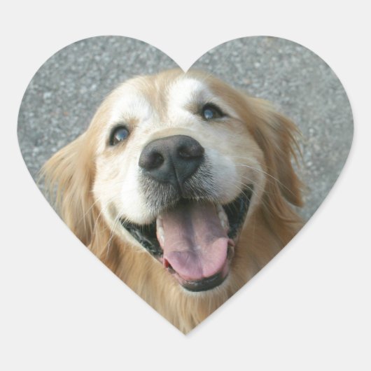 Sticker Cœur Golden Retriever souriant (Devant)