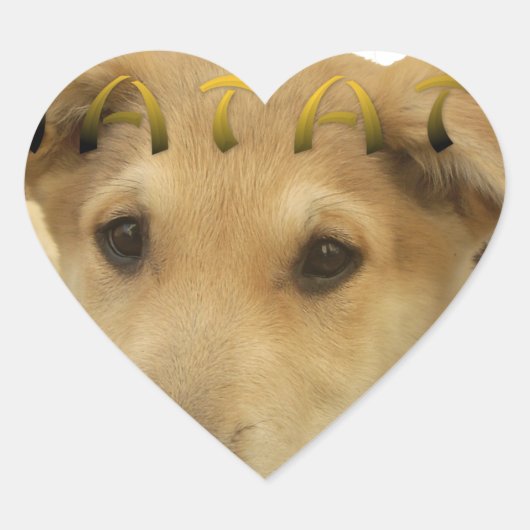 Sticker Cœur Hakuna Matata Je sais ce que vous pensez pinctur (Devant)