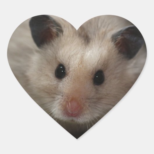 Sticker Cœur Hamster pelucheux mignon (Devant)