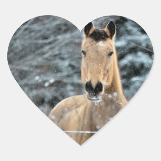 Sticker Cœur Hiver de cheval de peau de daim