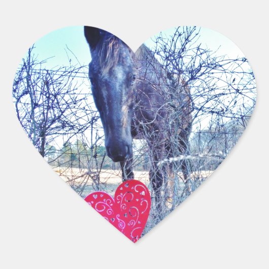Sticker Cœur Horse et heart (Devant)