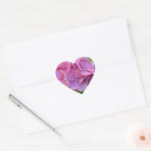 Sticker Cœur Hydrangea à pompons roses Hortensia Fleur (Enveloppe)