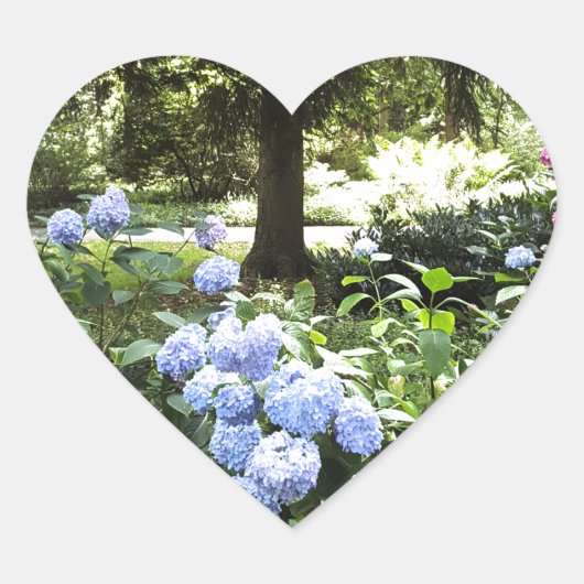 Sticker Cœur Hydrangea Floral Trees Nature Photographie (Devant)