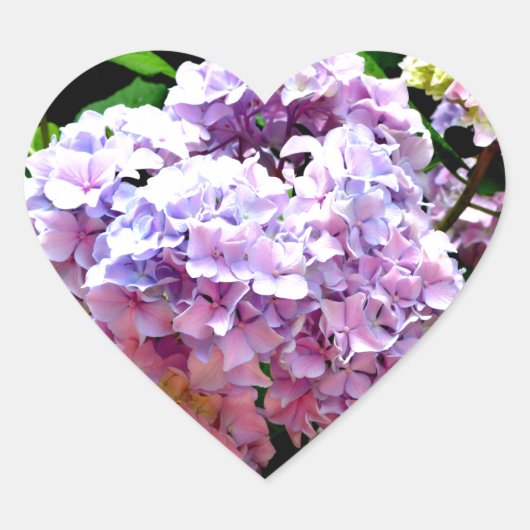 Sticker Cœur Hydrangea garden, rose, bleu, purple floral (Devant)