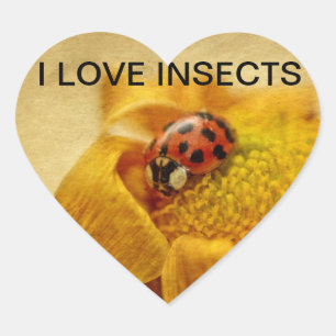 Sticker Cœur Ich liebe Marienkäfer