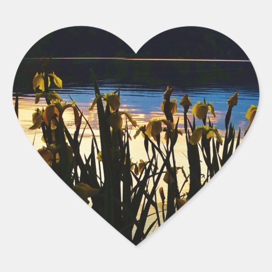 Sticker Cœur Iris jaunes sur la rive du lac Arrowhead (Devant)