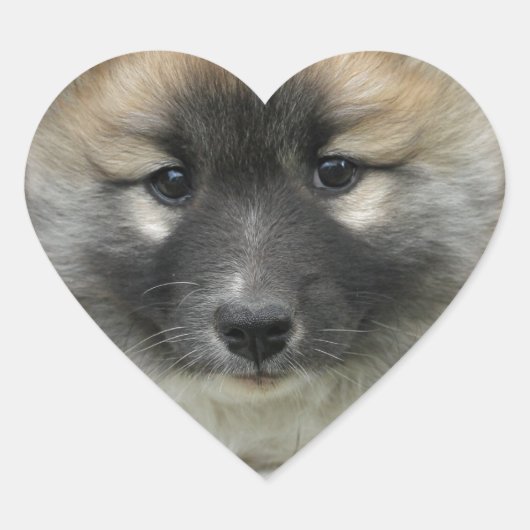Sticker Cœur Islandhund (Devant)