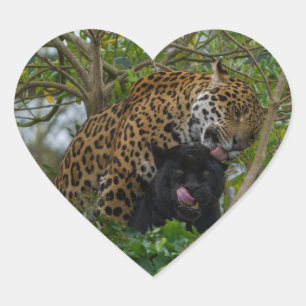 Sticker Cœur Jaguars In Love