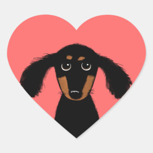 Sticker Cœur Joli chiot teckel à longs poils