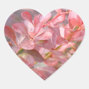 Sticker Cœur Jolies branches roses