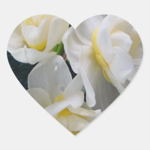 Sticker Cœur Jonquil Flower - Ecclesiastes 3:1