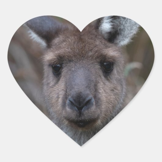 Sticker Cœur Kangaroo Australie (Devant)