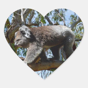 Sticker Cœur Koala, Australienne Couteuse, Marchant Le Long De