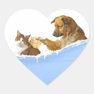 Sticker Cœur Lavage de chat