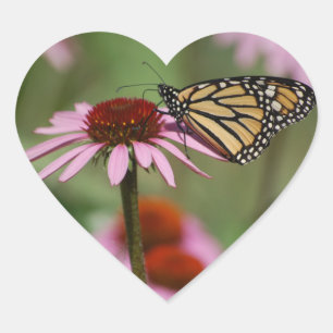 Sticker Cœur Le papillon Monarque à la floraison