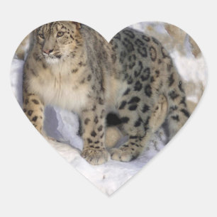 Sticker Cœur Leopard