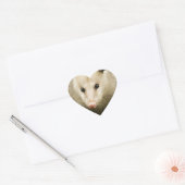 Sticker Cœur Les sommes d'argent sont jolies - Opossum Didelphi (Enveloppe)