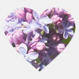 Sticker Cœur Lilacs frais