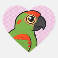 Macaw à tête rouge