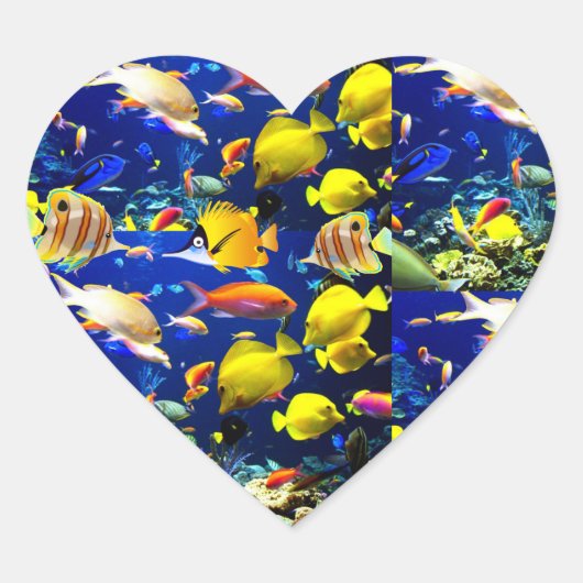Sticker Cœur mer de poisson (Devant)