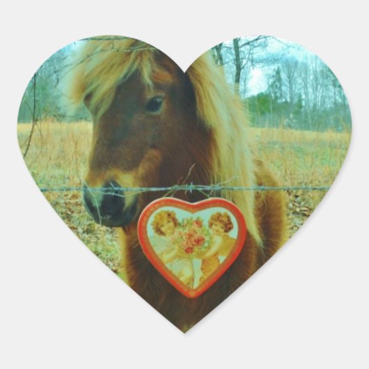 Sticker Cœur Miniature cheval Brown Valentine Heart (Devant)