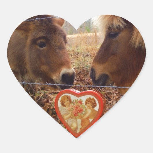 Sticker Cœur Miniature Donkey & Horse Valentine Heart (Devant)