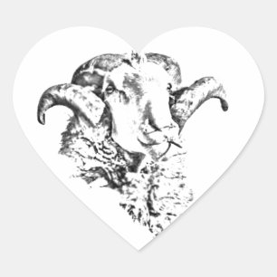 Sticker Cœur Mouton funky et mignon