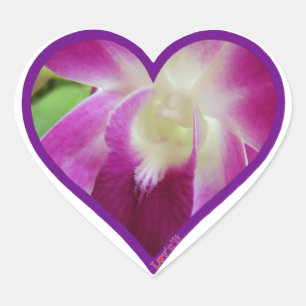 Sticker Cœur orchidée rose