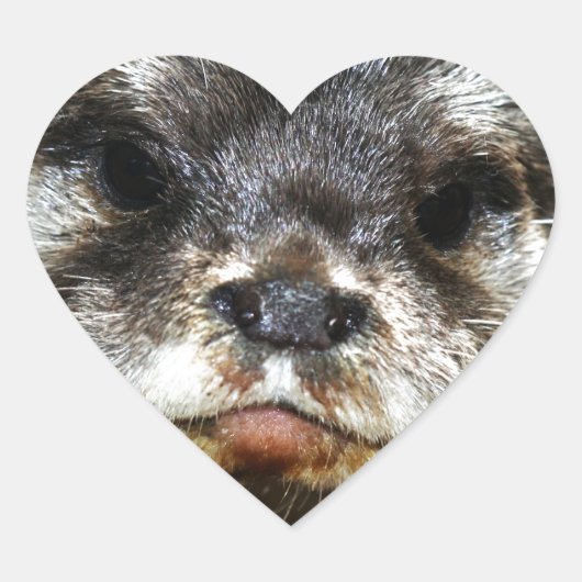 Sticker Cœur Otter (Devant)