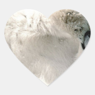 Sticker Cœur Ours polaire Cube Animal Arctic Froid Hiver