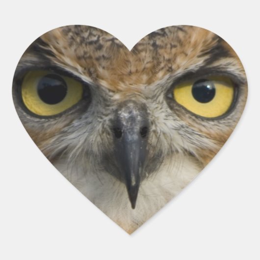 Sticker Cœur Owls Eyes (Devant)