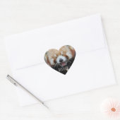 Sticker Cœur Panda Rouge - Dites Fromage ! (Enveloppe)