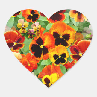 Sticker Cœur Pansies du coucher du soleil