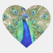 Sticker Cœur Paon bleu indien (Devant)