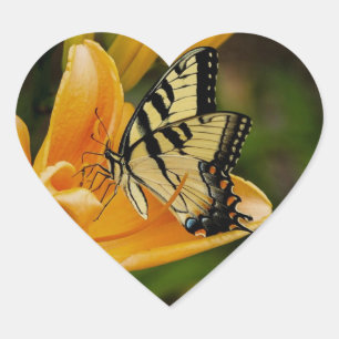 Sticker Cœur Papillon